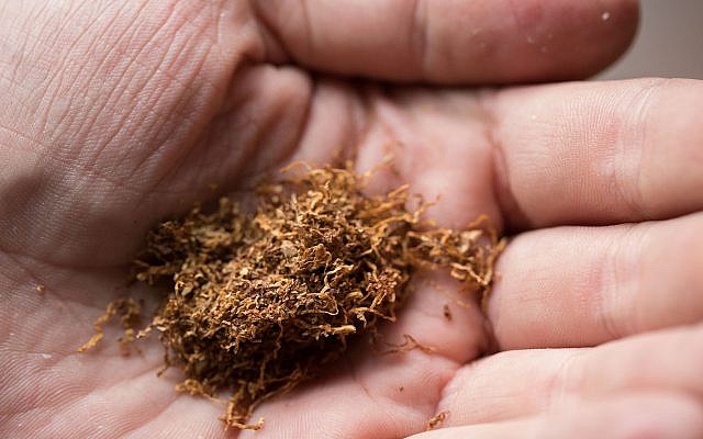 Illustrative. A woman holding tobacco, January 25, 2017. (Flash90)