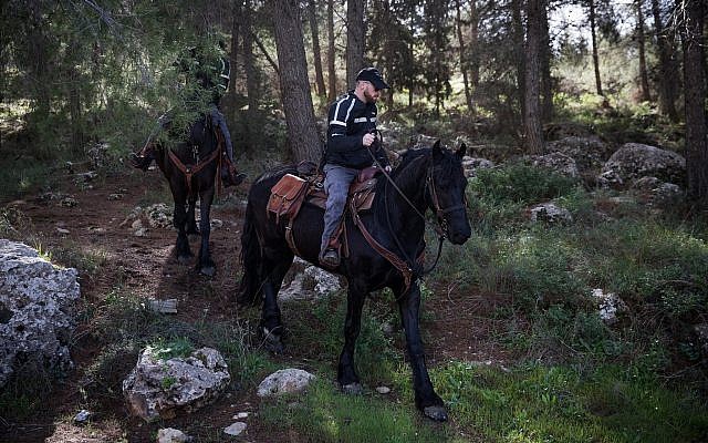 Israeli security forces search the scene where the body of a 19-year-old woman was found in Ein Yael, on the outskirts of Jerusalem, on February 8, 2019. (Yonatan Sindel/Flash90) Israeli security forces search the scene where the body of a 19-year-old woman was found in Ein Yael, on the outskirts of Jerusalem, on February 8, 2019. (Yonatan Sindel/Flash90)
