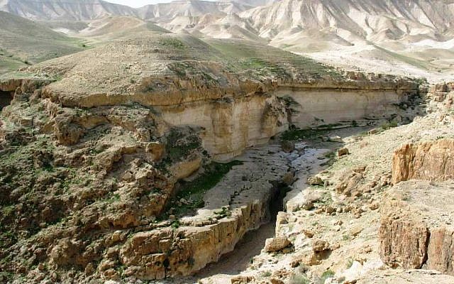 Darga River near the Dead Sea. (Wikipedia/Attribution/Ester Inbar) Darga River near the Dead Sea. (Wikipedia/Attribution/Ester Inbar)