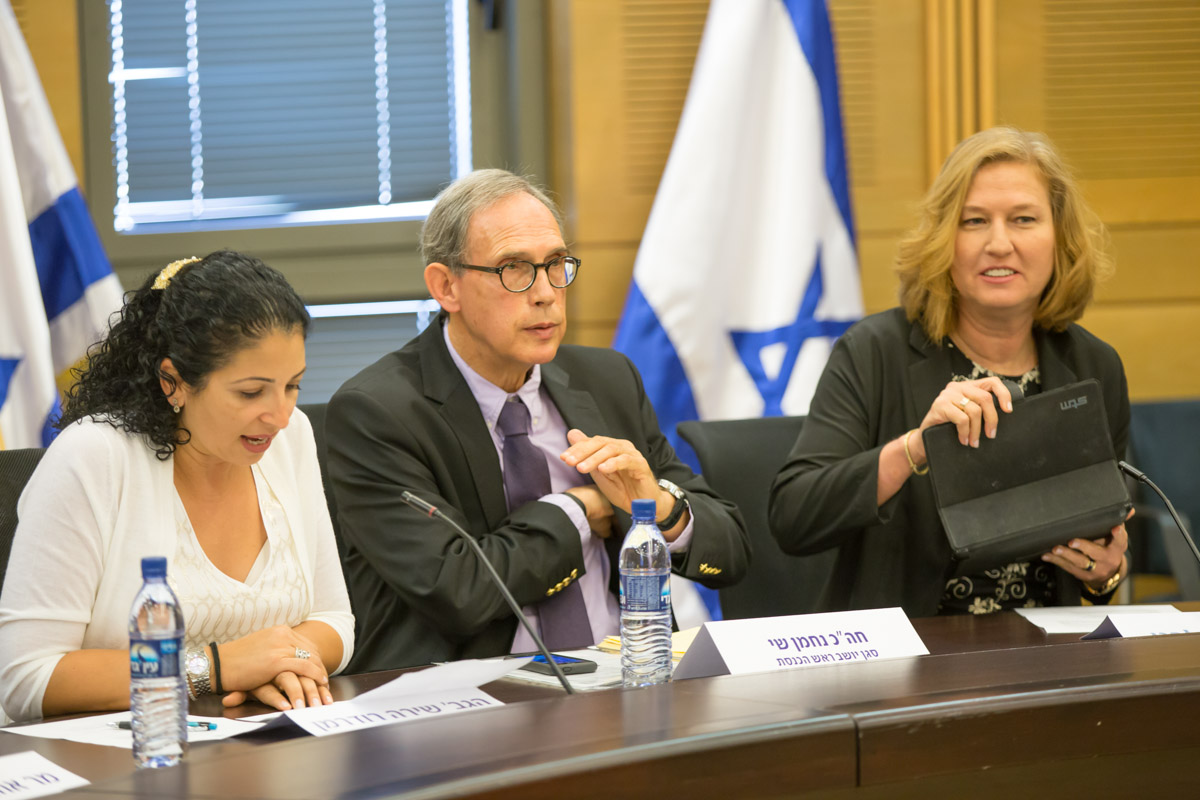 Woman in a man's world: Ruderman says bold action will save Israel ...