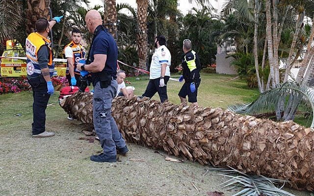 The scene of a tree that was uprooted by strong winds in Eilat on March 30, 2019. (Magen David Adom) The scene of a tree that was uprooted by strong winds in Eilat on March 30, 2019. (Magen David Adom)