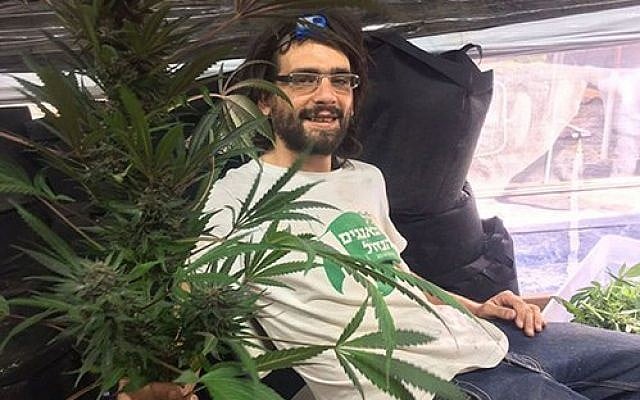 Amos Silver with a cannabis plant. (Courtesy) Amos Silver with a cannabis plant. (Courtesy)