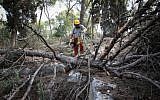 Illustrative: The Jewish National Fund together with volunteers from the Czech Republic worked to reforest and revive Masrik Forest in northern Israel, marking the 100th anniversary of Czechoslovakia, on October 25, 2018. (Anat Hermony/Flash90)