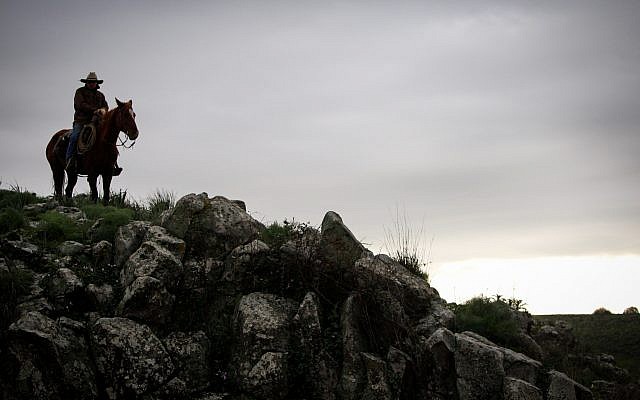 A man rides his horse near Kibbutz Marom Golan in the Golan Heights on January 8, 2019. (Maor Kinsbursky/Flash90) A man rides his horse near Kibbutz Marom Golan in the Golan Heights on January 8, 2019. (Maor Kinsbursky/Flash90)