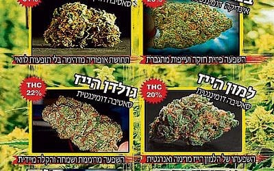 A screenshot of a Telegrass marijuana menu. (Screenshot)