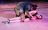 From Kolben Dance's newest piece, 'Orpheus,' premiering April 7, 2019 as part of the Jerusalem Arts Festival (Courtesy Kolben Dance)
