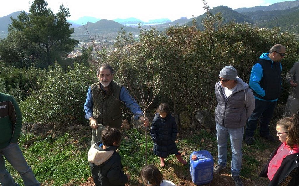 Arie Girondi, left, the president of the Jewish Community of Mallorca, Spain, plants a tree on Tu b'Shvat with other local Jews, February 10, 2019. (Cnaan Liphshiz)