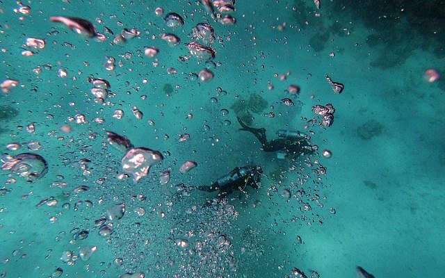 Divers swim off the coast of Egypt's Red Sea resort of Hurghada, on April 4, 2019.  (Mohamed el-Shahed / AFP)