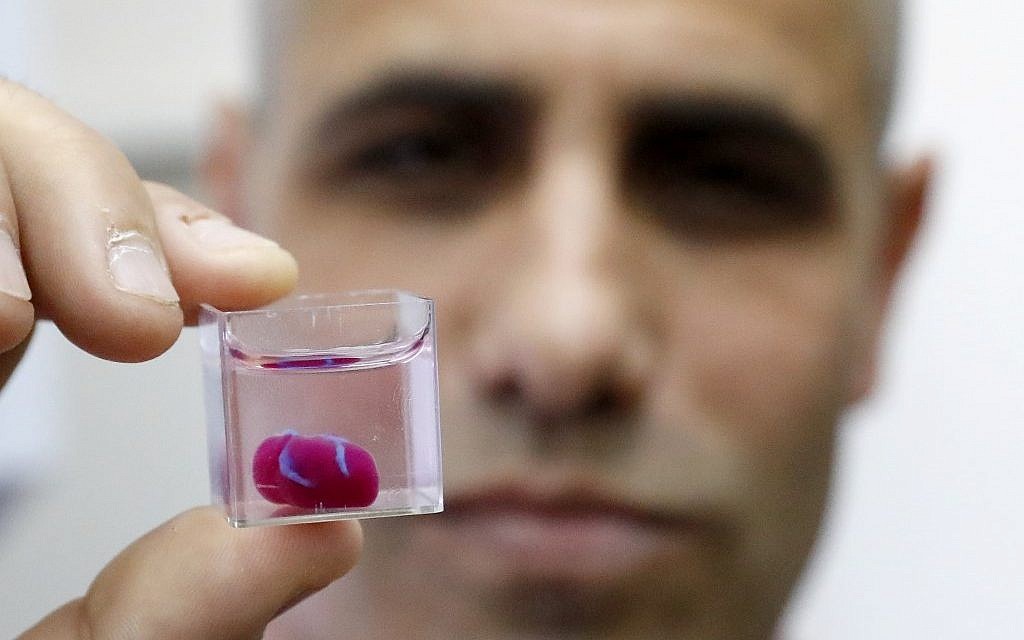 Professor Tal Dvir presents a 3D print of a heart with human tissue at Tel Aviv University on April 15, 2019. (Jack Guez/AFP) Professor Tal Dvir presents a 3D print of a heart with human tissue at Tel Aviv University on April 15, 2019. (Jack Guez/AFP)