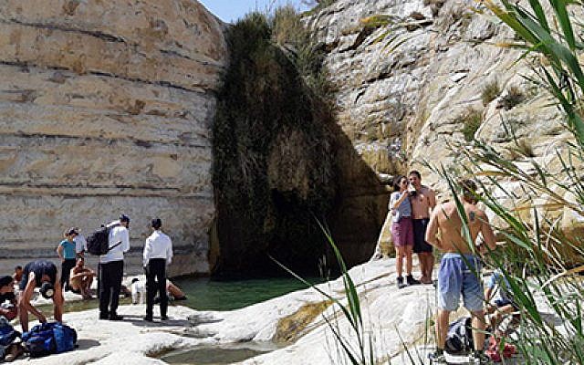 Hikers in the Negev (Meir Orbach/Nature and Parks Authority) Hikers in the Negev (Meir Orbach/Nature and Parks Authority)