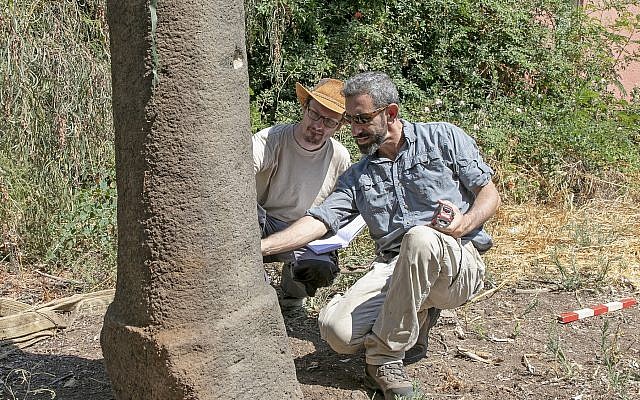 Haifa University researchers inspect the Roman milestone at Moshav Ramot bearing the name of Emperor Maximinus Thrax. (Susita Excavation/Haifa University) Haifa University researchers inspect the Roman milestone at Moshav Ramot bearing the name of Emperor Maximinus Thrax. (Susita Excavation/Haifa University)