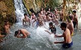 Illustrative: Participants of Taglit Birthright, on a free trip to Israel, visit the waterfalls at the Ein Gedi Nature Reserve near the Dead Sea. (Melanie Fidler/Flash90 via JTA)
