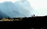 Baboons watch as smoke envelopes the Simien mountains in Ethiopia, in a video shared on April 11. (screen capture: Twitter/@ahackz)