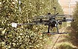 Tevel Aerobotics Technologies has developed a drone that it hopes will help farmers do labor-intensive fruit-picking (Courtesy)