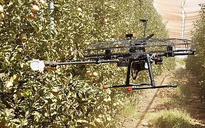 Tevel Aerobotics Technologies has developed a drone that it hopes will help farmers do labor-intensive fruit-picking (Courtesy)