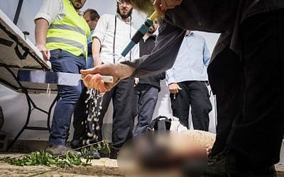 Jewish men slaughter a sheep for the Passover Sacrifice 'practice' ceremony at the Old City of Jerusalem, on April 15, 2019. (Noam Revkin Fenton/Flash90)