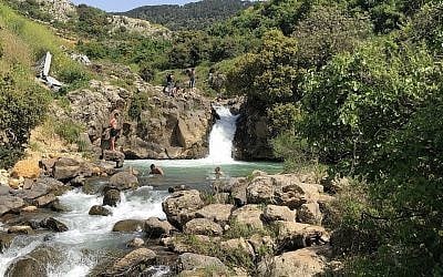 Youth swimming in a quiet part of the Sa'ar river, Golan Heights, April 14, 2019. (Sue Surkes/Times of Israel)