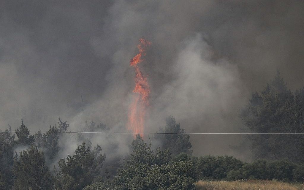 Fire engulfs trees in a burning forest amidst extreme heat wave near the Israeli city of Modi'in on May 23, 2019. (Ahmad GHARABLI / AFP)