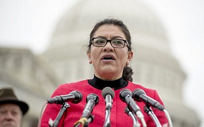 Rep. Rashida Tlaib (D-Michigan) speaks at a news conference on Capitol Hill in Washington, Thursday, Jan. 17, 2019 (AP Photo/Andrew Harnik)