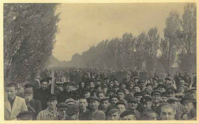Photograph from the liberation of the Dachau camp on April 29, 1945, held in the collection of Belgian underground operative Adrian Aloy. (Kedem Auction House) Photograph from the liberation of the Dachau camp on April 29, 1945, held in the collection of Belgian underground operative Adrian Aloy. (Kedem Auction House)
