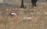 Screen capture from video allegedly showing an off-duty Israeli army soldier setting fire to a Palestinian farmer's field, in the northern West Bank, on May 17, 2019. (B'Tselem)