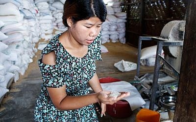 Zenan Sumlut examines rice at the organic rice mill she now manages in Kachin, Myanmar. (Emily Fishbein/Times of Israel)