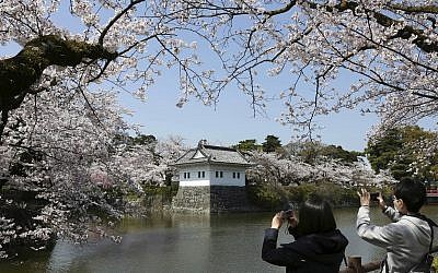 A couple takes photos around Odawara Castle, southwest of Tokyo, Japan, during the blooming of the cherry blossoms, March 31, 2018. (AP Photo/Koji Sasahara)