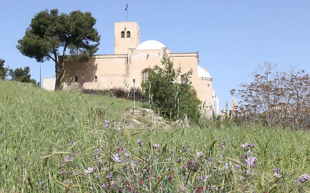 Flowers bloom on Jerusalem's Squill Hill. A walk around the hill provides day hikers a panoramic view of the city. (Shmuel Bar-Am)