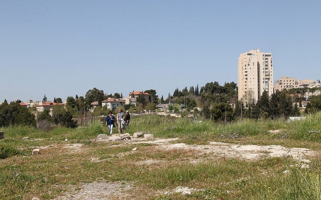 Jerusalem's Squill Hill, or Bible Hill, blooms in the springtime. (Shmuel Bar-Am)