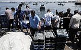 Palestinian fishermen unload fresh fish at the Mediterranean seaport of Gaza City on June 18, 2019. (Photo by MAHMUD HAMS / AFP)