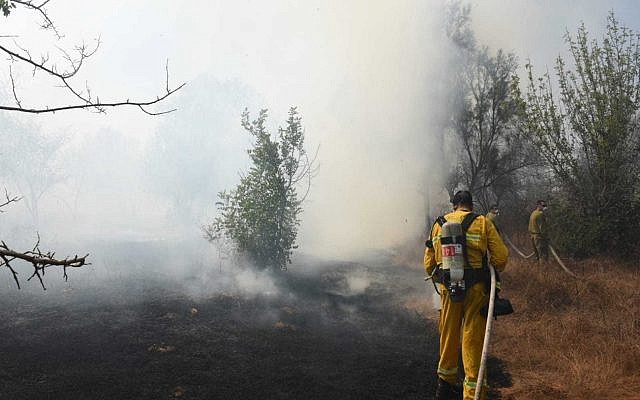 File: Firefighters battle a brushfire in southern Israel near the Gaza border that was started by an incendiary device launched from the Gaza Strip on June 24, 2019. (Yankele Grossfeld/Sha'ar Hanegev Regional Council)