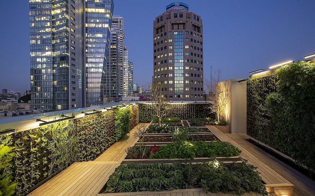 The rooftop, urban garden of L28 Culinary Platform, the latest experiment from Start-Up Nation Central. (Courtesy Start-Up Nation Central) The rooftop, urban garden of L28 Culinary Platform, the latest experiment from Start-Up Nation Central. (Courtesy Start-Up Nation Central)