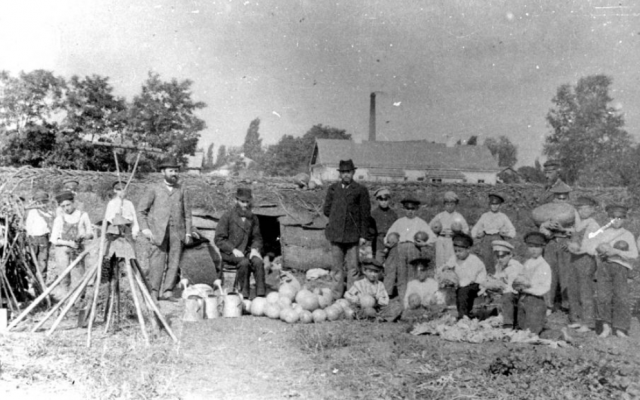 Pupils of a Jewish school in the school vegetable garden in Poltava, Ukraine, before 1917. (Yad Vashem/YVA Photo Collection 4147/55) Pupils of a Jewish school in the school vegetable garden in Poltava, Ukraine, before 1917. (Yad Vashem/YVA Photo Collection 4147/55)