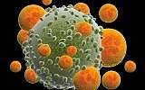 T cells attacking a cancer cell (frentusha; iStock by Getty Images)