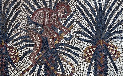 Detail of a mosaic depicting the biblical story of Elim, Exodus 15:27, discovered in 2019 during continuing excavations at a 1,600-year-old synagogue at Huqoq, led by UNC-Chapel Hill Prof. Jodi Magness(Jim Haberman. (Courtesy, UNC-Chapel Hill)