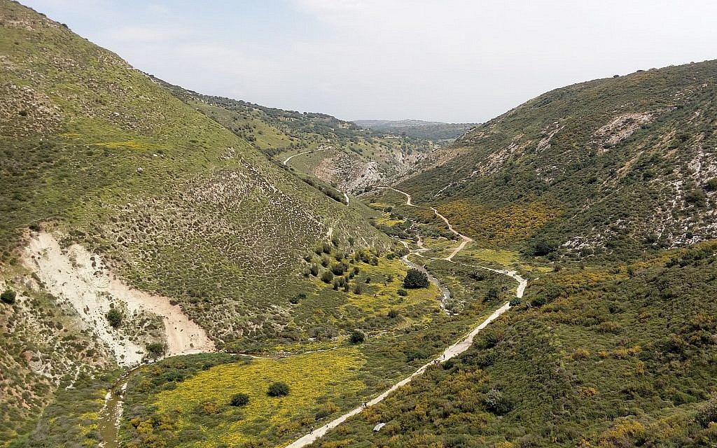 Shrubland in Nahal Dishon
