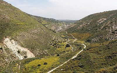Shrubland in Nahal Dishon