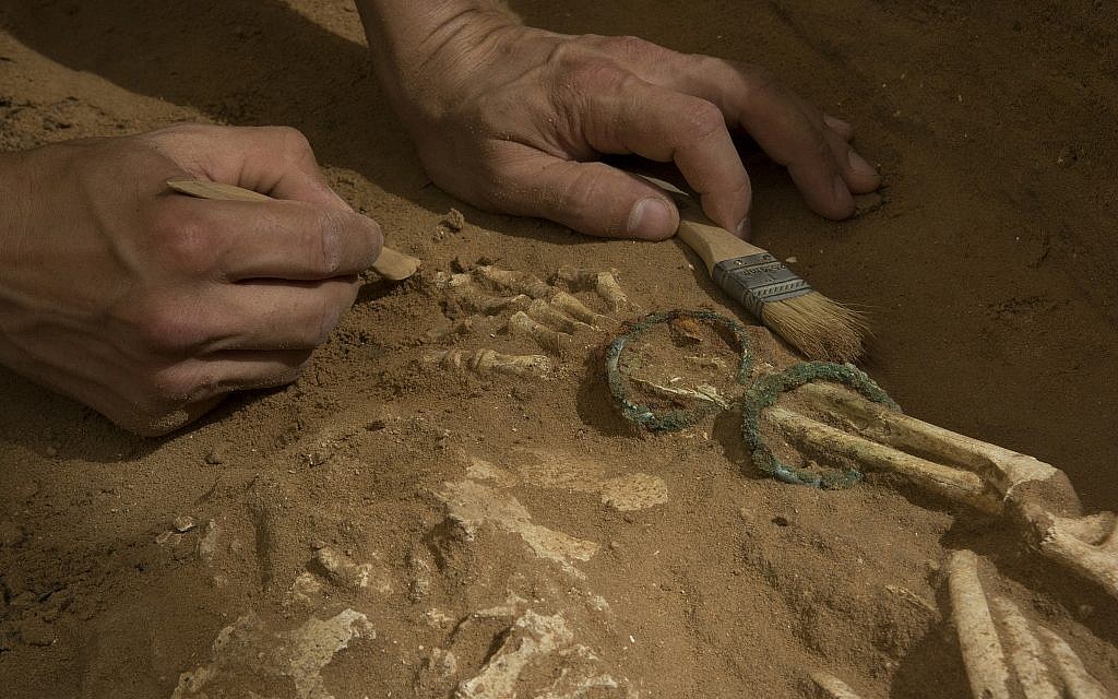 Excavation of the Philistine Cemetery at Ashkelon (Melissa Aja/Courtesy Leon Levy Expedition to Ashkelon)