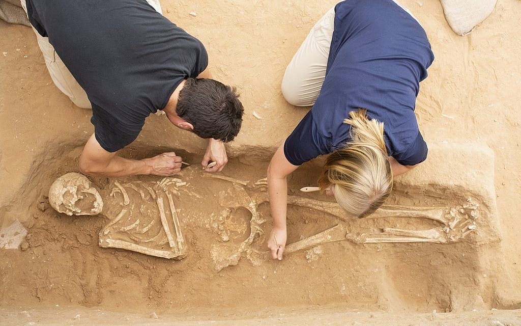 Excavation of the Philistine Cemetery at Ashkelon (Melissa Aja/Courtesy Leon Levy Expedition to Ashkelon)