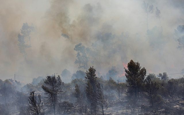 A brush fire near Moshav Aderet, July 17, 2019. (Noam Revkin Fenton/Flash90)