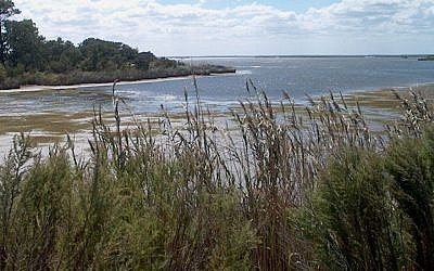 False Cape State Park, Virginia Beach, Va., September 2005. (CC BY-SA 3.0 Wikipedia)