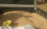 A vehicle loaded with about half a ton of stolen chickpeas, near Kibbutz Nahal Oz on July 21, 2019. (Israel Police)