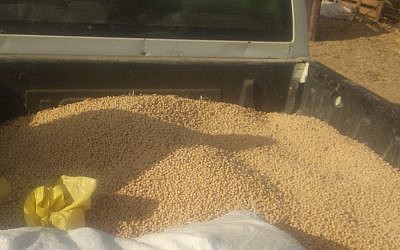A vehicle loaded with about half a ton of stolen chickpeas, near Kibbutz Nahal Oz on July 21, 2019. (Israel Police)
