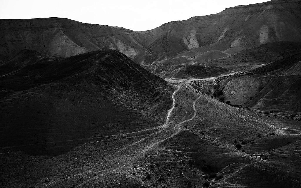 Another work from Tal Paz-Fridman's series in the Judean Desert (Courtesy Tal Paz-Fridman)