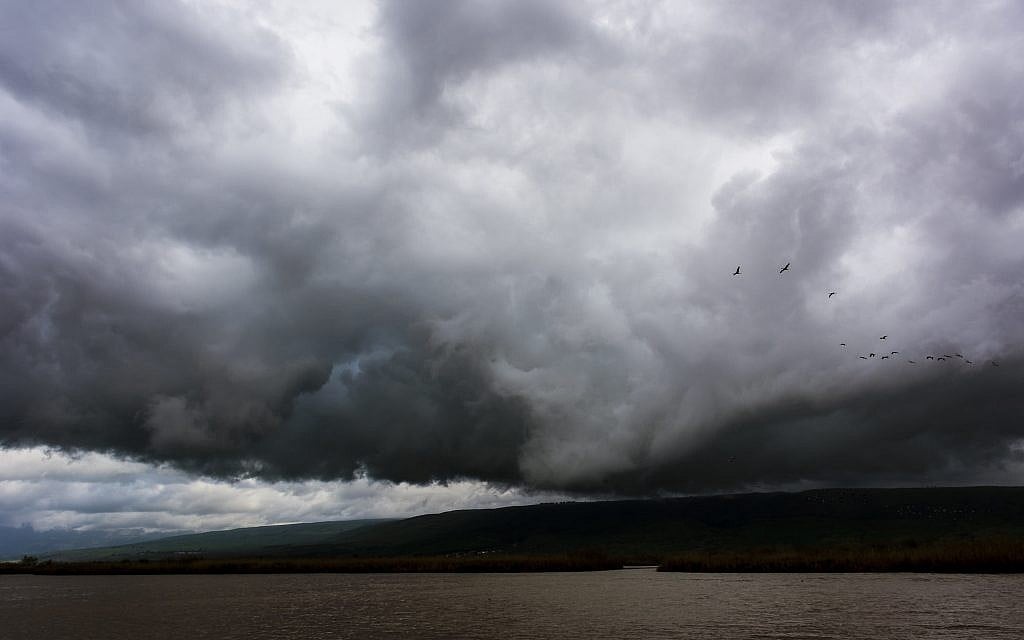Cranes flying over the Hula Lake Park (Courtesy Tal Paz-Fridman)