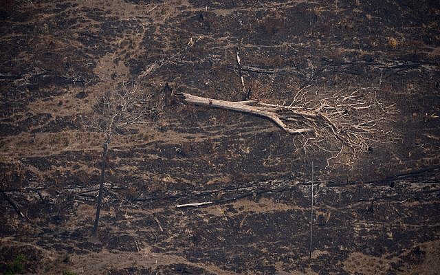 A felled tree lies surrounded by charred tree fragments on a field left scorched by wildfires near Porto Velho, Brazil, Aug. 23, 2019. (AP Photo/Victor R. Caivano) A felled tree lies surrounded by charred tree fragments on a field left scorched by wildfires near Porto Velho, Brazil, Aug. 23, 2019. (AP Photo/Victor R. Caivano)
