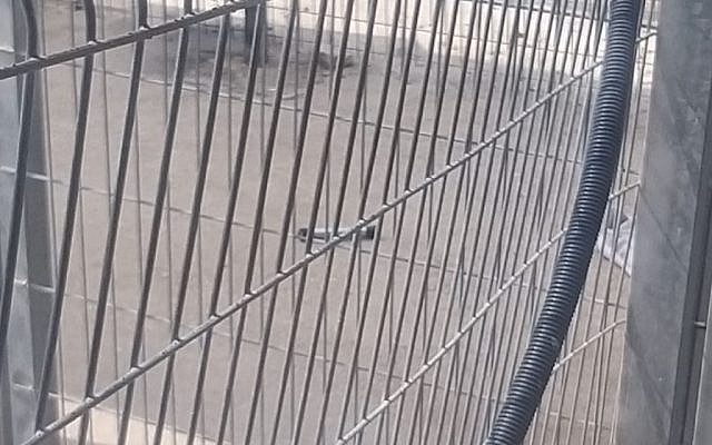 A pipe bomb discovered outside the Samaria Military Court on August 28, 2019. (Police spokesman)