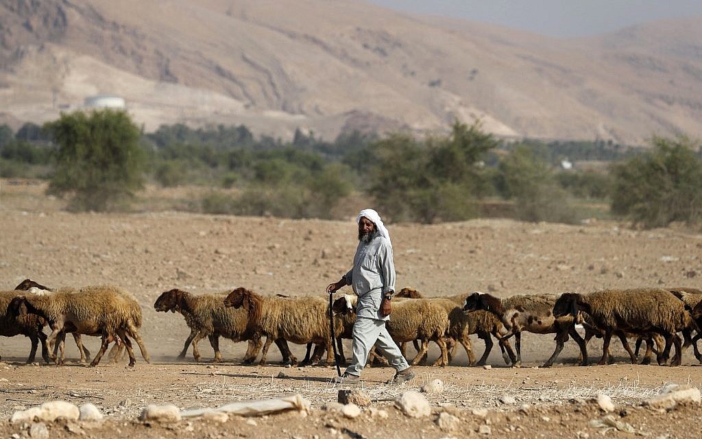 A Bedouin shepherd walks with his herd of sheep in the Jordan Valley in the West Bank on September 11, 2019 (AHMAD GHARABLI / AFP) A Bedouin shepherd walks with his herd of sheep in the Jordan Valley in the West Bank on September 11, 2019 (AHMAD GHARABLI / AFP)