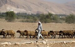 A Bedouin shepherd walks with his herd of sheep in the Jordan Valley in the West Bank on September 11, 2019 (AHMAD GHARABLI / AFP)