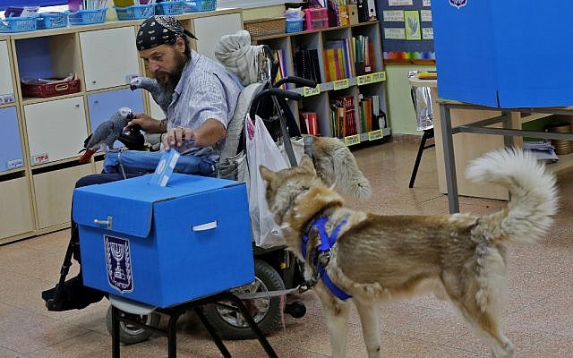 A wheelchair-bound man accompanied by his dog and parrot casts his ballot during elections for the Knesset, at a polling station in Tel Aviv, on September 17, 2019. (Gil Cohen-Magen/AFP) A wheelchair-bound man accompanied by his dog and parrot casts his ballot during elections for the Knesset, at a polling station in Tel Aviv, on September 17, 2019. (Gil Cohen-Magen/AFP)